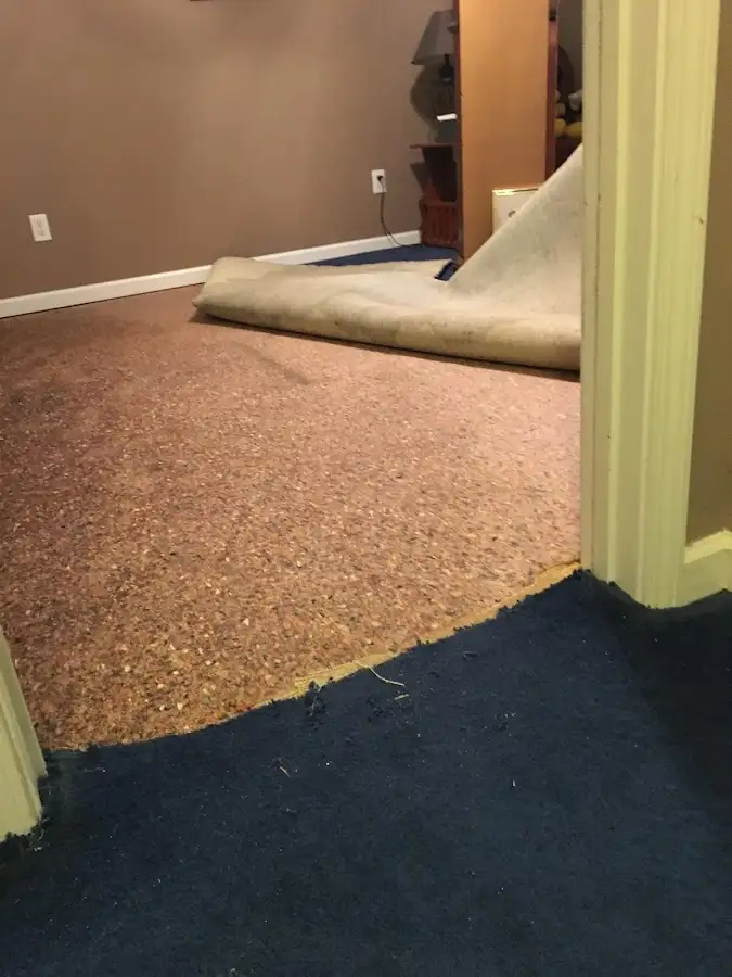 Carpet pad removal revealing water damage during Drying & Dehumidification in Upper Providence