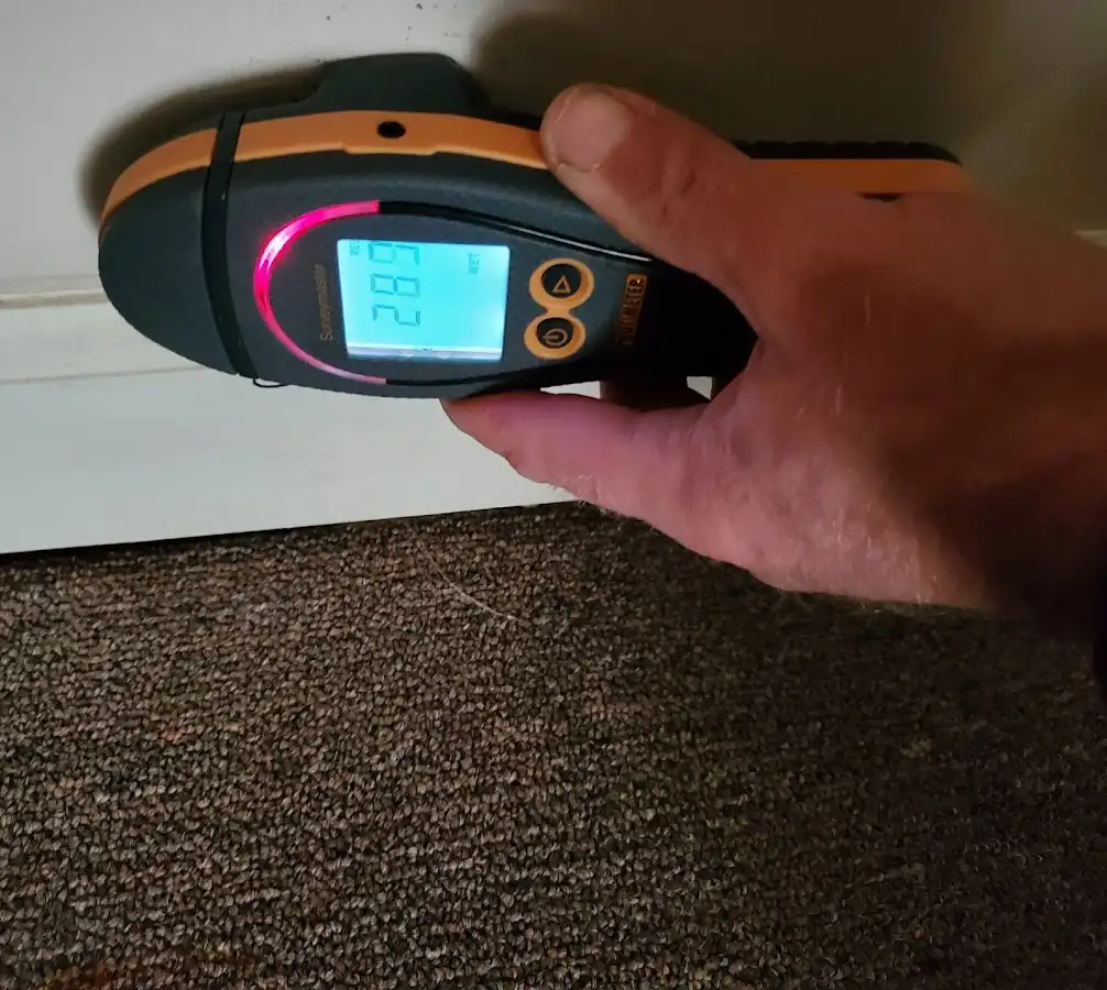 Moisture detection at baseboard during Sewage Cleanup & Sanitation in Upper Providence